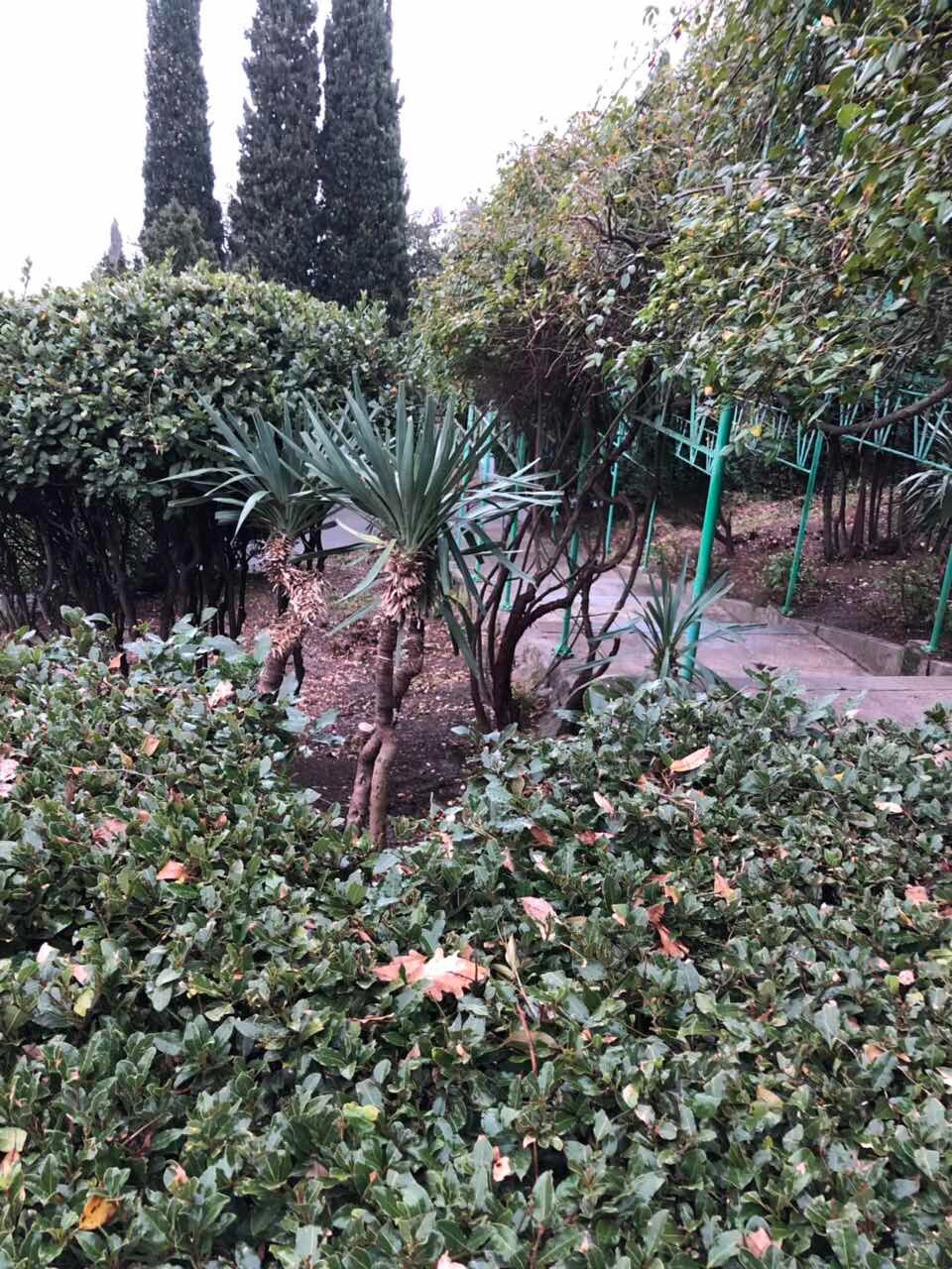 Гостиница Аквилон Алупка-11