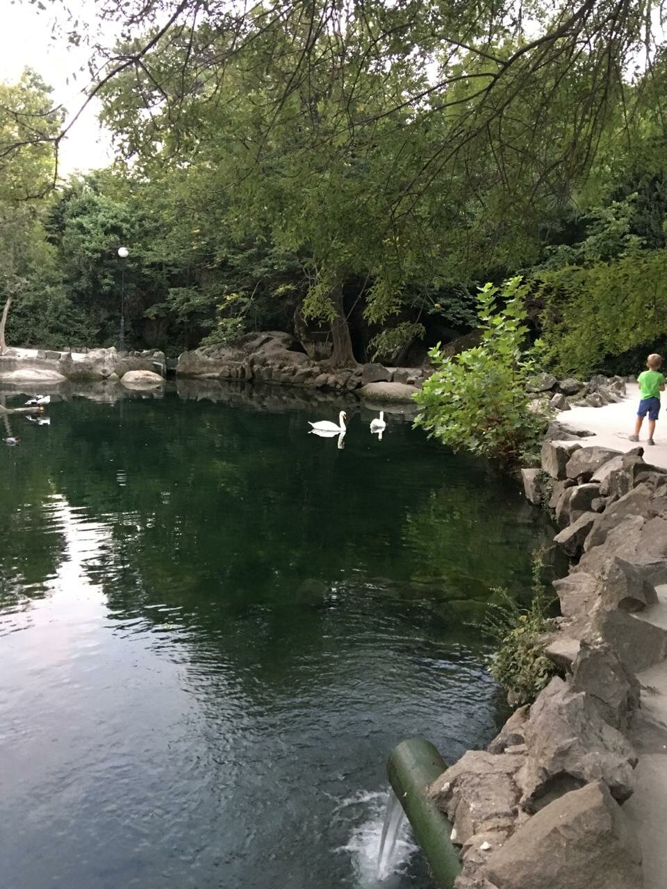 Гостиница Аквилон Алупка-7