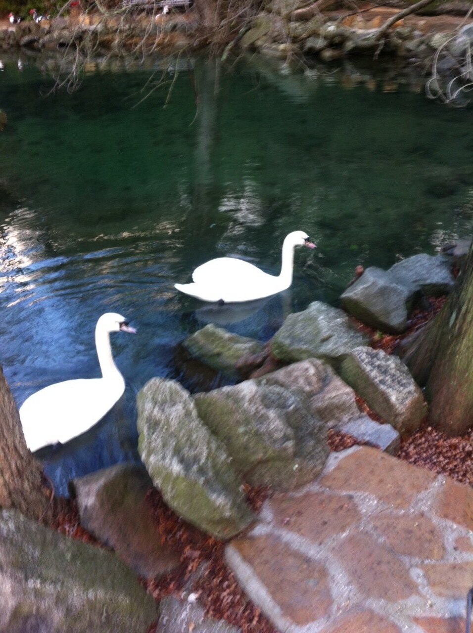 Гостиница Аквилон Алупка-5