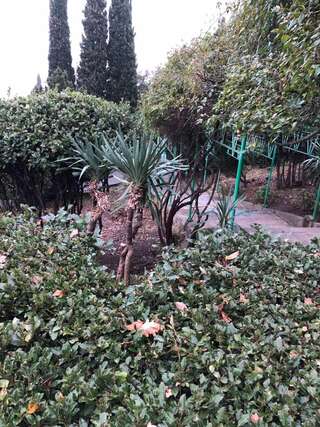 Гостиница Аквилон Алупка-7