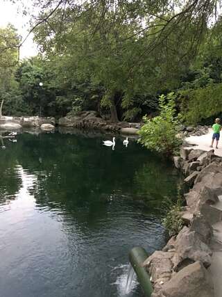 Гостиница Аквилон Алупка-3