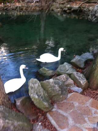 Гостиница Аквилон Алупка-1